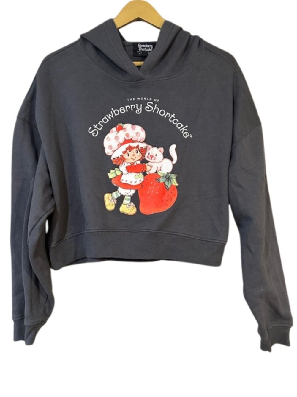 Strawberry Shortcake Cropped Hoodie Vintage Style Graphic Sweatshirt Kawaii Y2K